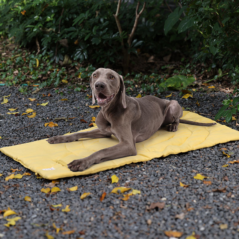 Portable Pet Mat Foldable Pet  - Outdoor Camping Rugs ulasan dan harga