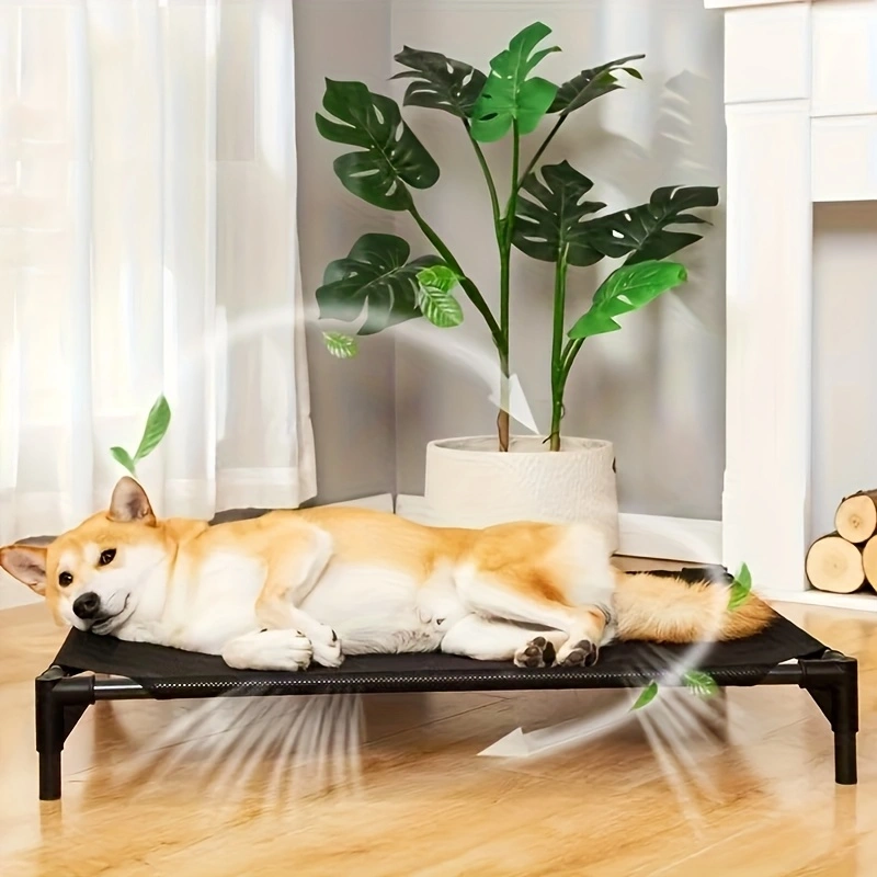Cooling Elevated Dog Bed - Rai - Outdoor Camping Dog Bed ulasan dan harga